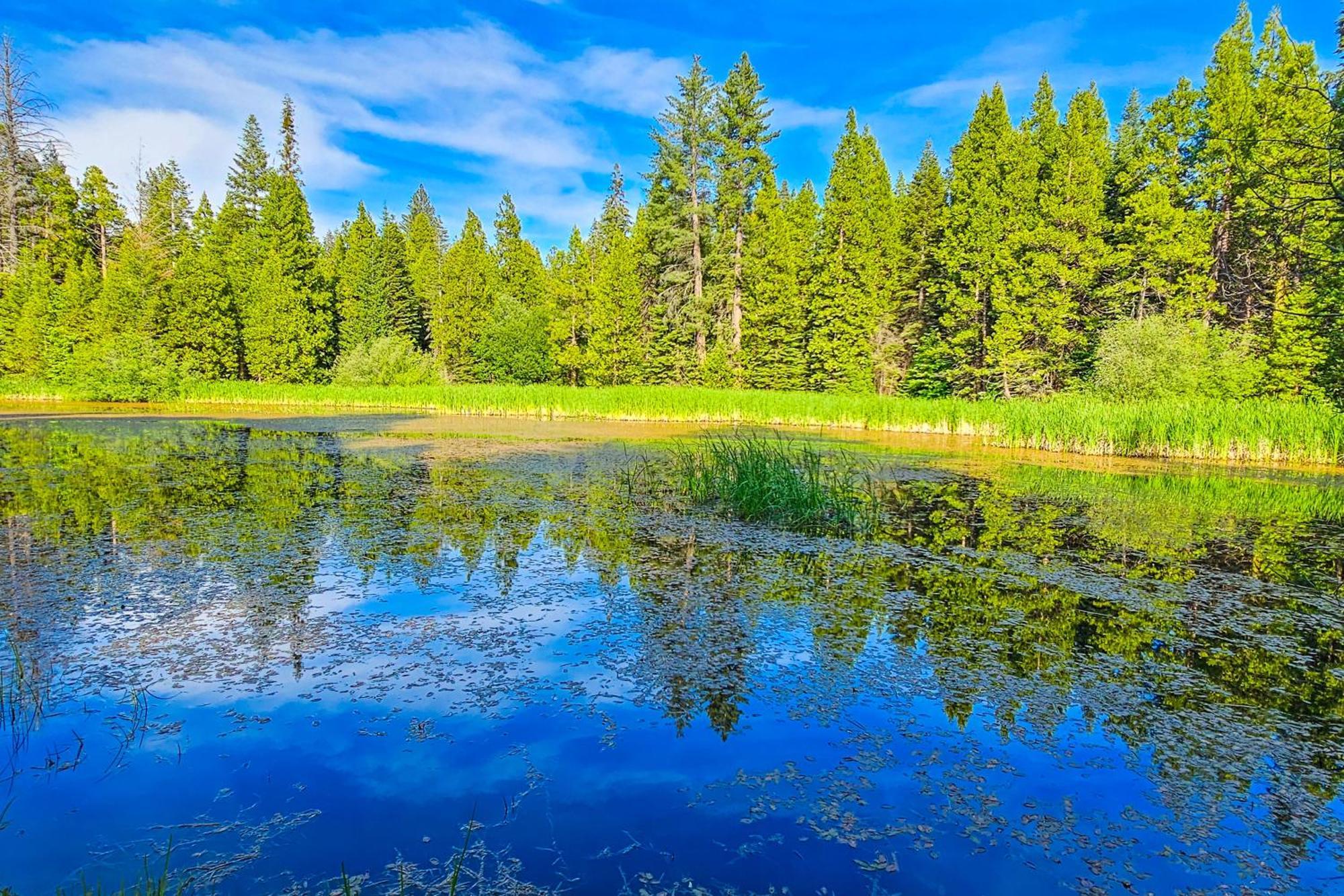 Вілла Water'S Edge Retreat Шейвер-Лейк Екстер'єр фото